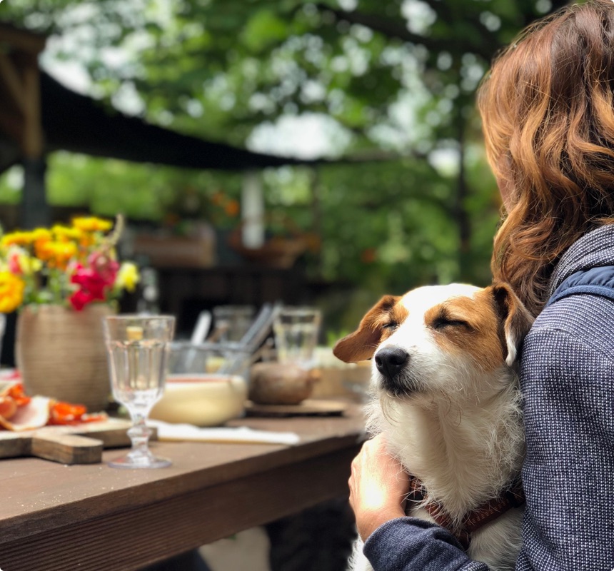 dog walker and dog owners